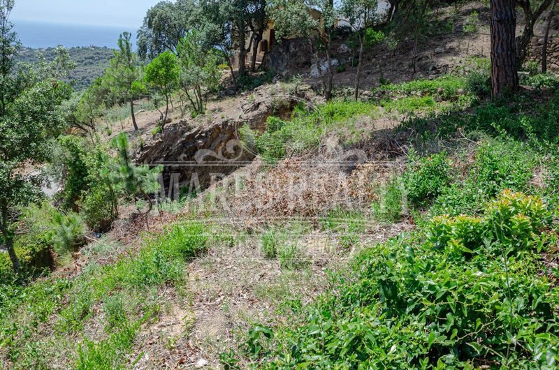 Foto 40739ded-44ea-4369-ab58-5f1a1e9369e6. Terreny residencial a Serra Brava Lloret de Mar