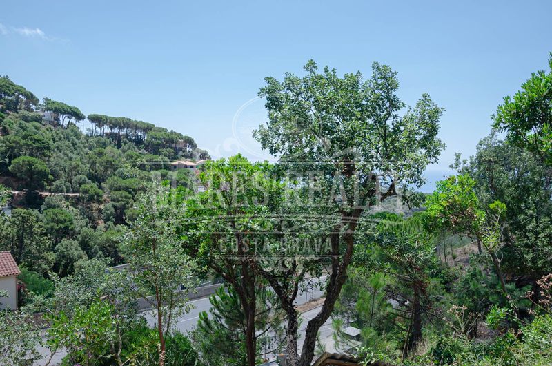 Foto 973e94f6-6830-4da4-a1b3-93b6d197d010. Terreny residencial a Serra Brava Lloret de Mar