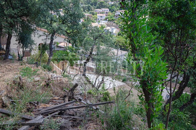 Foto cb7b124a-11fb-45c8-872e-f63c217c4f1c. Terreny residencial a Serra Brava Lloret de Mar