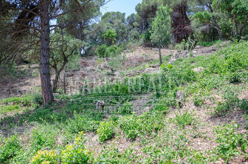Foto e75c176a-1b2e-40ca-afce-072ac5fbaab8. Terreny residencial a Serra Brava Lloret de Mar