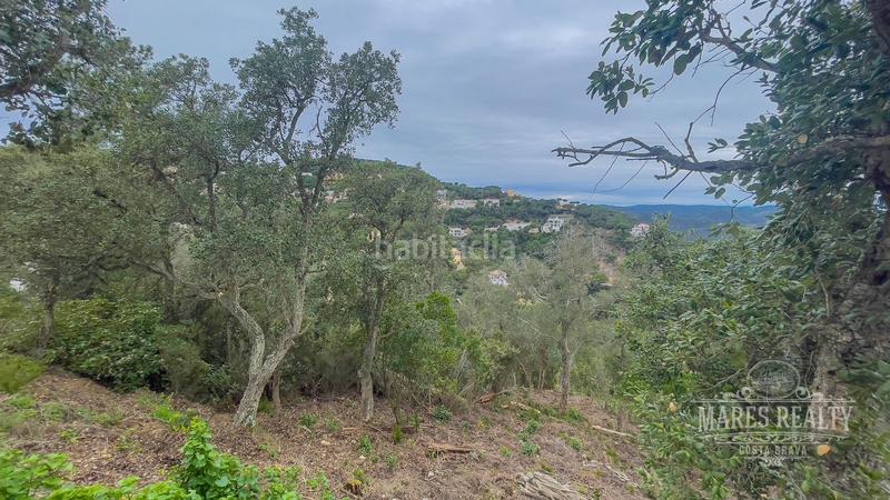 Foto 3d8c6b53-6cae-430e-8248-7086e3d9bf4e. Terreny residencial a Serra Brava Lloret de Mar