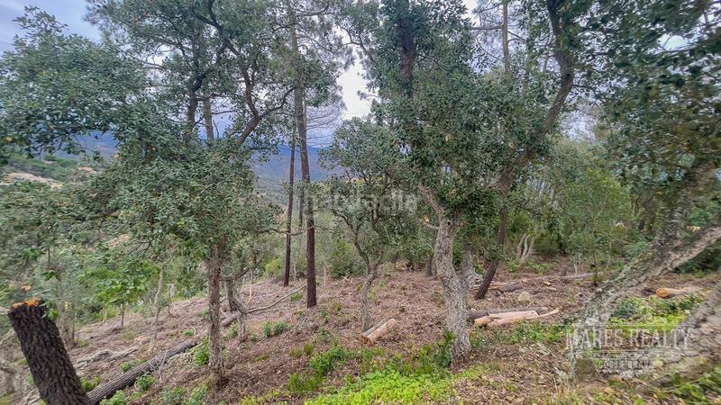 Foto 7e0d18f4-6705-4cbd-a292-96fcb960e456. Terreny residencial a Serra Brava Lloret de Mar