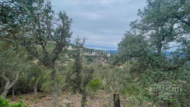 Foto 9697d064-88f4-4cbc-981f-82d49925b6bf. Terreny residencial a Serra Brava Lloret de Mar