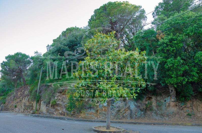 Foto 09f76512-055d-468a-bec2-fe1fb8b85149. Terreny residencial a Santa Maria de Llorell Tossa de Mar