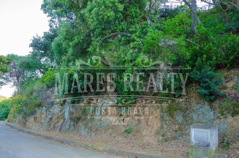 Foto c6d851c6-4633-4abc-aefa-acb6e560c034. Terreny residencial a Santa Maria de Llorell Tossa de Mar