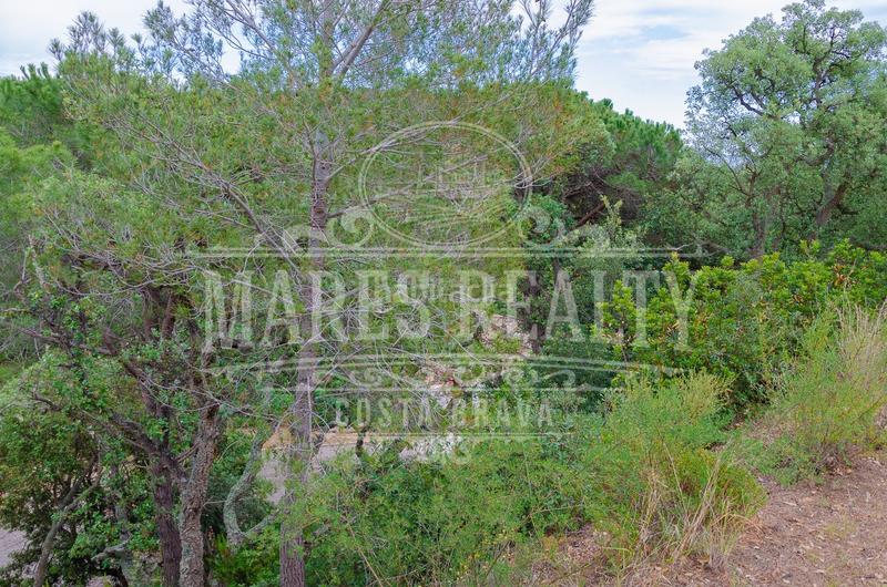 Foto dbdfe90a-3fae-476e-b8f0-bb35a1442156. Terreny residencial a Santa Maria de Llorell Tossa de Mar