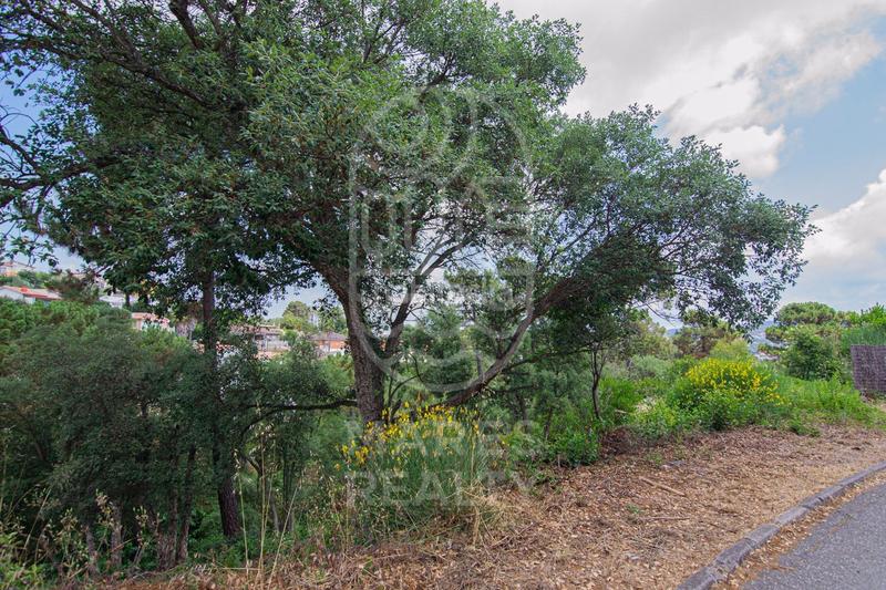 Foto 513f706a-d542-4a67-95a7-1280b0b0ff22. Residential plot in Lloret Blau - La Creu de Lloret Lloret de Mar