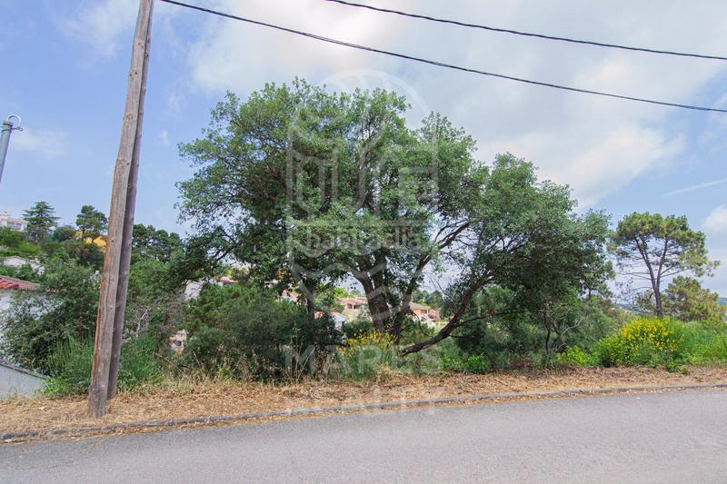 Foto 9fccd96e-4e06-461d-a4aa-ae4ca2aecf04. Residential plot in Lloret Blau - La Creu de Lloret Lloret de Mar