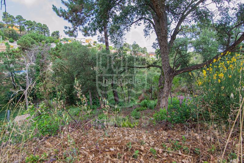 Foto cc937d08-7765-4825-8845-054594ad2a38. Residential plot in Lloret Blau - La Creu de Lloret Lloret de Mar