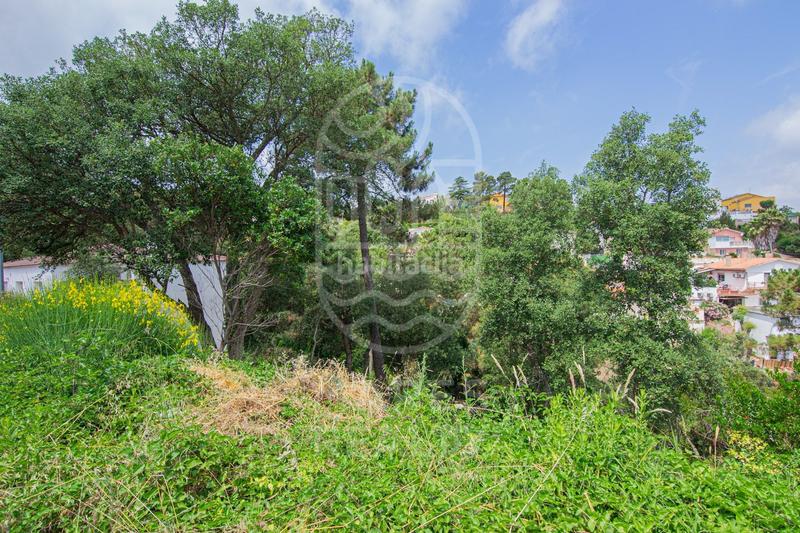 Foto e3466072-2b03-4e07-b3f4-ce79918dd1ad. Residential plot in Lloret Blau - La Creu de Lloret Lloret de Mar