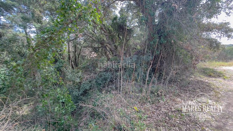 Foto 645a4e54-12ec-45c8-98e3-991a84c04305. Terreny residencial a sócrates a Condado del Jaruco - Puigventós Lloret de Mar