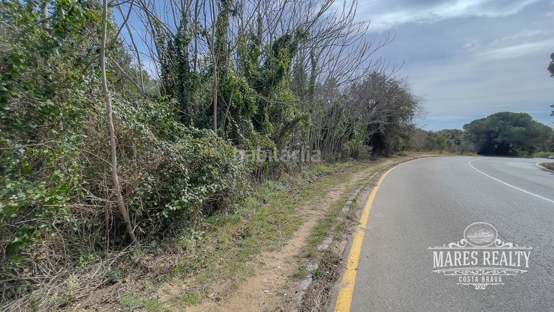 Foto a75c6a87-7119-4659-b2e5-5fcbb3b2d8bd. Terreny residencial a sócrates a Condado del Jaruco - Puigventós Lloret de Mar