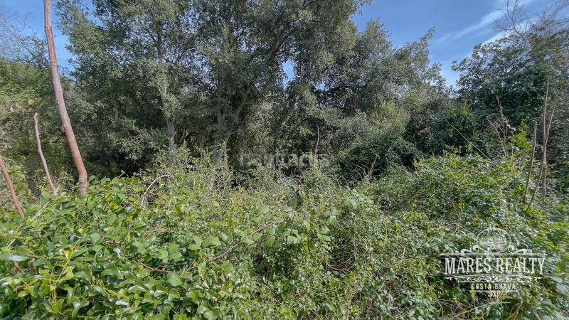 Foto c21c8574-6fb0-4a69-ade8-97d3345ce45d. Terreny residencial a sócrates a Condado del Jaruco - Puigventós Lloret de Mar