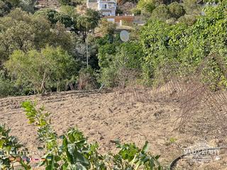 Wohngrundstück in Lloret Residencial - Montlloret. Gran parcela construible con aceso directo a la calle y con port