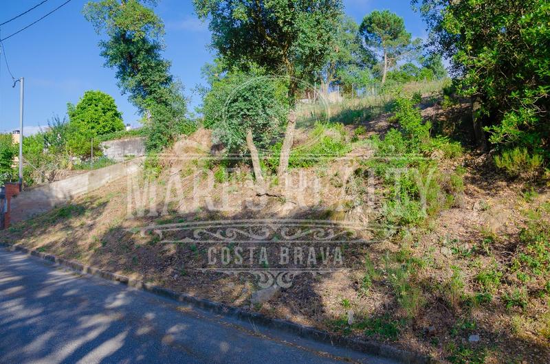 Foto 682327ee-a256-4619-8360-0fe0bed2ea69. Terreny residencial a Montbarbat Maçanet de la Selva