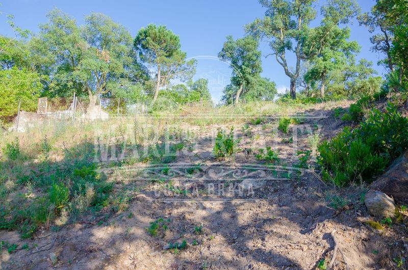 Foto 82b2d106-7cc4-47b9-ad6f-fbe8cfa5d8c9. Terreny residencial a Montbarbat Maçanet de la Selva
