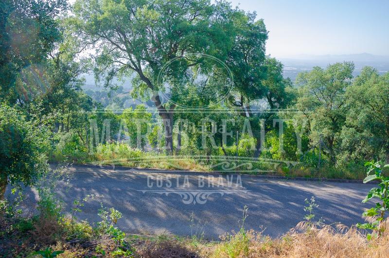 Foto 9efbf217-83f4-4967-bbb1-24f757463876. Terreny residencial a Montbarbat Maçanet de la Selva