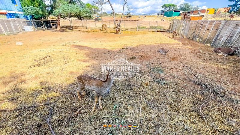 Foto 1b252f44-3345-4521-92ec-96add991ce95. Mas dans can lluis dans Centre Vidreres