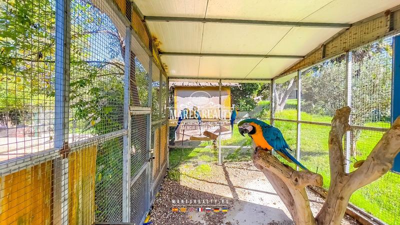 Foto 3cab48d5-95a1-4242-8298-b0c8f2cd450e. Mas dans can lluis dans Centre Vidreres