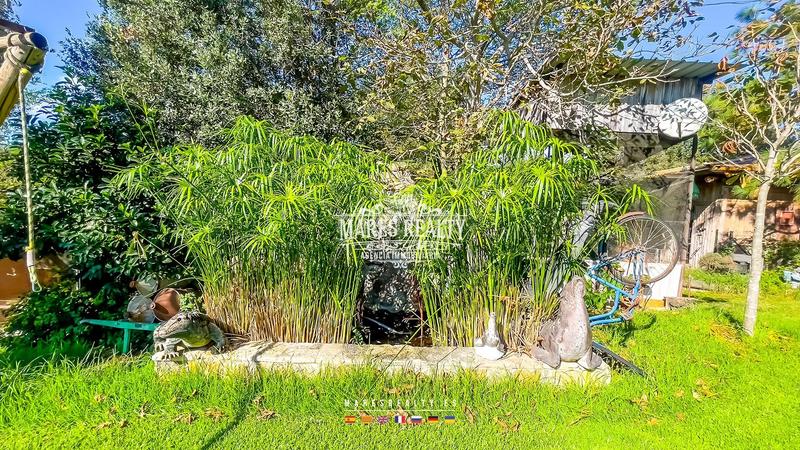 Foto 673b36d9-b636-48d9-bd16-d928c6014e8c. Mas dans can lluis dans Centre Vidreres