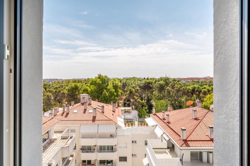 Foto ec9a6f43-1814-44df-9230-817fe299ffe6. Alquiler piso en calle de juan ignacio luca de tena 28 en Madrid