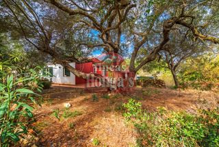 Mas à Cala Blanca. Se vende en exclusiva! magnífico huerto en zona tranquila a solo
