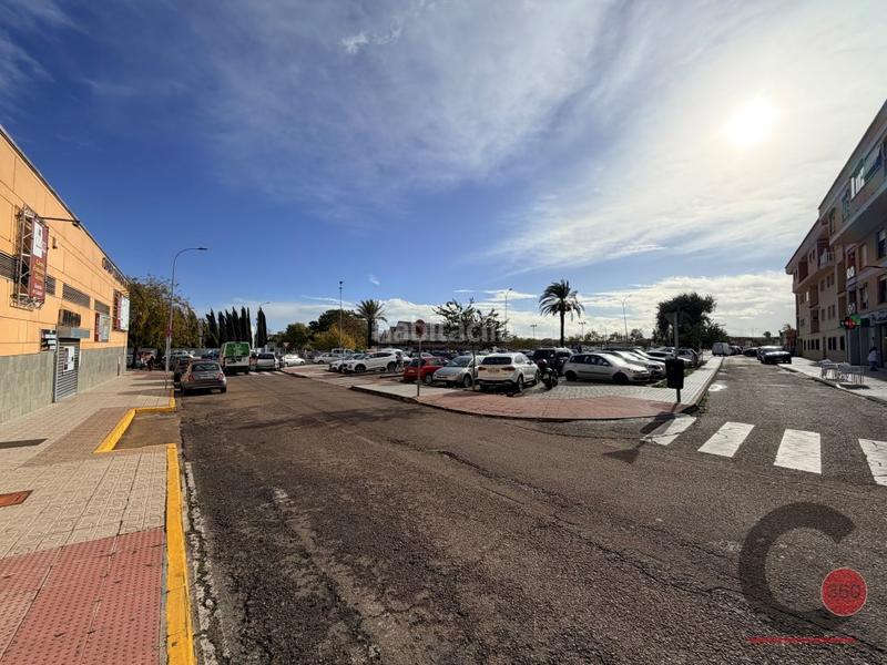 Foto 5276b55b-e5b2-4d49-8c4e-01b661cc279c. Pis a Pardaleras Badajoz