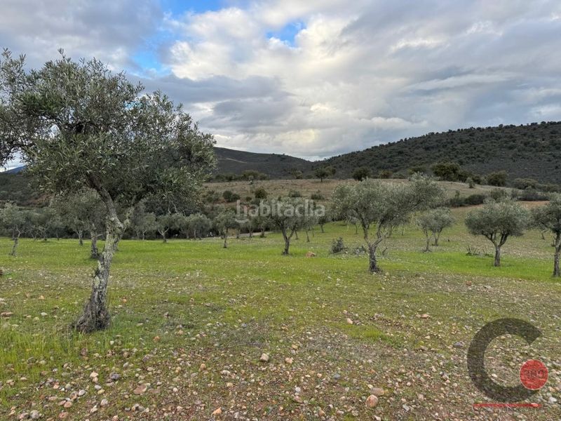 Foto c2c7ee4c-6981-4566-abd0-e44ee44dd40c. Casa a Valdesalor - Rincón de Ballesteros Cáceres