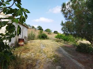 Masia  Carretera cabezo de la jara. Casa con terreno en cabezo de cuti, puerto lumbrerasmurcia