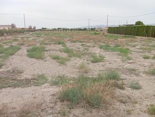 Terrain résidentiel à Puerto Lumbreras. Parcela con acceso por carretera junto a la estacion de puerto l