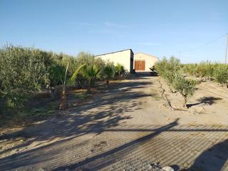 Finca rústica  Calle almendricos. Terreno rústico con nave  zona parque pocoyo