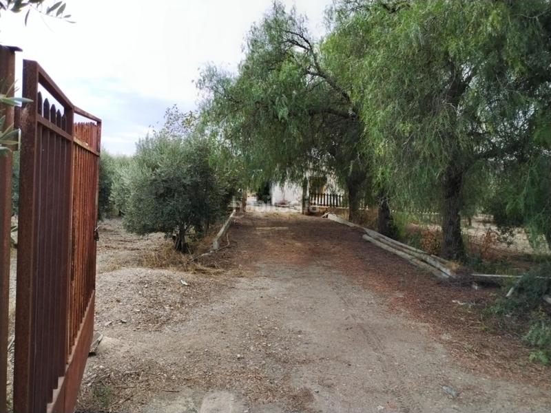 Foto 3125f0e7-2064-4a72-8223-5acd7beb8003. Masía casa de campo con terreno esparragal en Puerto Lumbreras