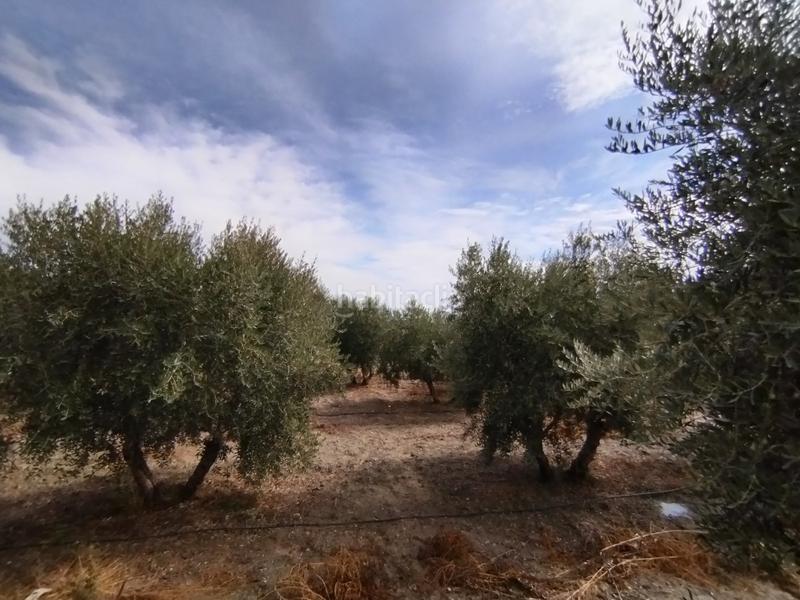 Foto 4fc4ea6d-ecb7-4e25-b60c-6c5f24d15542. Masía casa de campo con terreno esparragal en Puerto Lumbreras