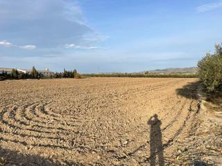 Terreny residencial a Purias. Terreno rural de 11.000 m2 en el salar