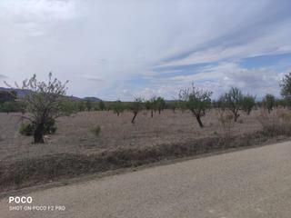 Finca rústica a Parrilla. Terreno agricola de regadío en aguaderas, lorca