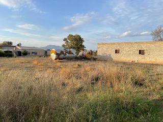 Residential Plot in Purias. Parcela de 5500 m2 con almacén declarado de 70 m2.