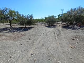 Finca rústica en Almendricos. Terreno rural en puerto lumbreras en la zona del cabezo del trig