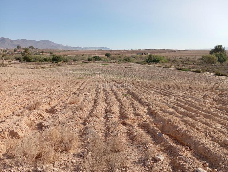 Foto 015776fa-a286-4266-8e93-35ca855459ad. Country house in Cuevas del Almanzora pueblo Cuevas del Almanzora