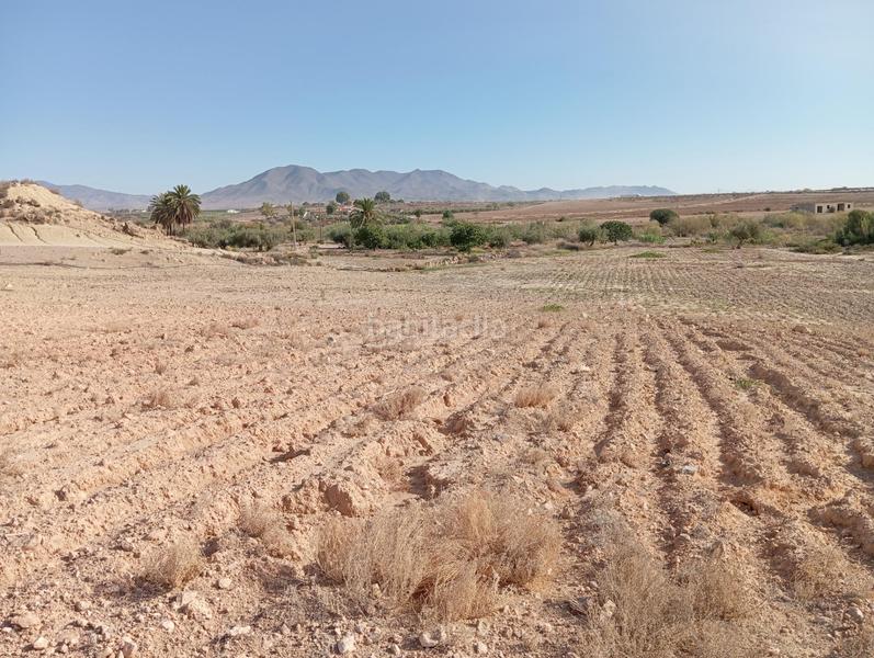 Foto 03c86283-9f58-4d70-9b00-441bdc68a576. Country house in Cuevas del Almanzora pueblo Cuevas del Almanzora