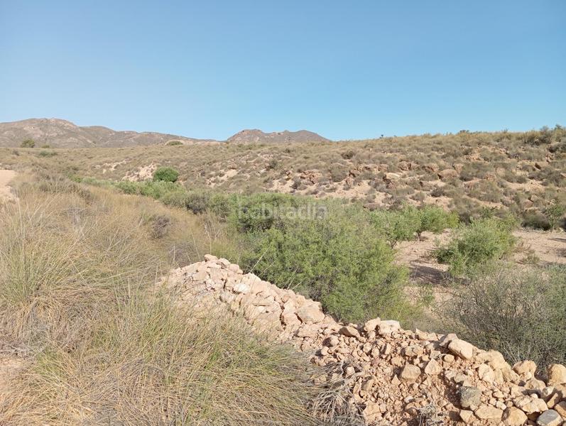 Foto 24d9214c-d793-4542-a0d7-5bd530a53798. Country house in Cuevas del Almanzora pueblo Cuevas del Almanzora