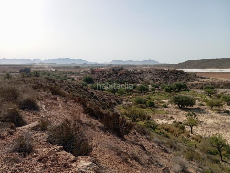 Foto 4a616c2a-ec60-41b4-bac8-6dadfdf11df6. Country house in Cuevas del Almanzora pueblo Cuevas del Almanzora