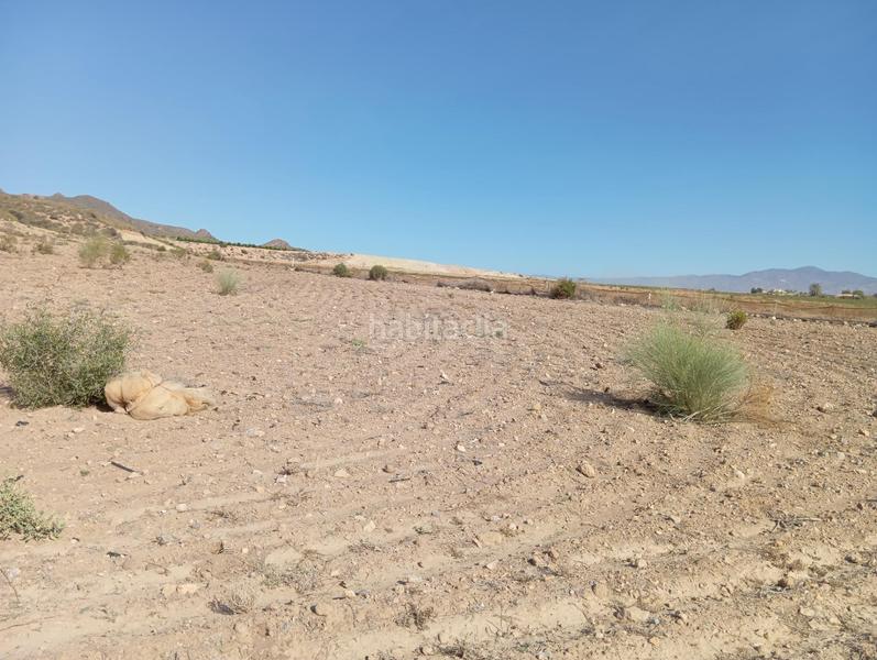 Foto 775f6cca-aef3-4a5d-99fb-cb75b0c985cd. Country house in Cuevas del Almanzora pueblo Cuevas del Almanzora