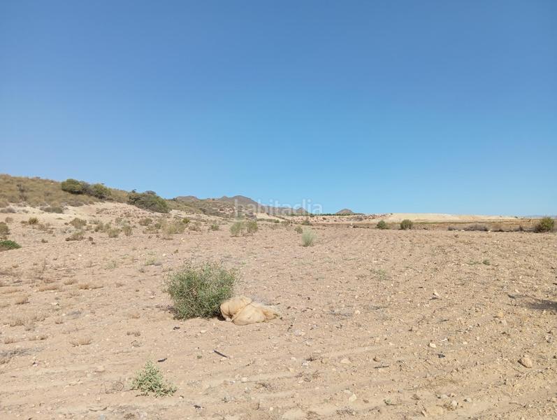 Foto 7f5af276-daff-4389-9620-572699007ffb. Country house in Cuevas del Almanzora pueblo Cuevas del Almanzora