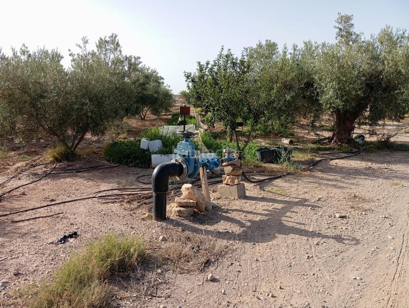 Foto 93a0d72a-9b32-4b68-a309-59d0a34a5373. Country house in Cuevas del Almanzora pueblo Cuevas del Almanzora