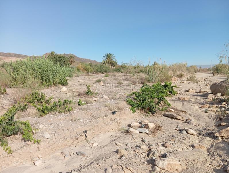 Foto a48dad2b-dac1-4764-93cb-43b2d91869aa. Country house in Cuevas del Almanzora pueblo Cuevas del Almanzora