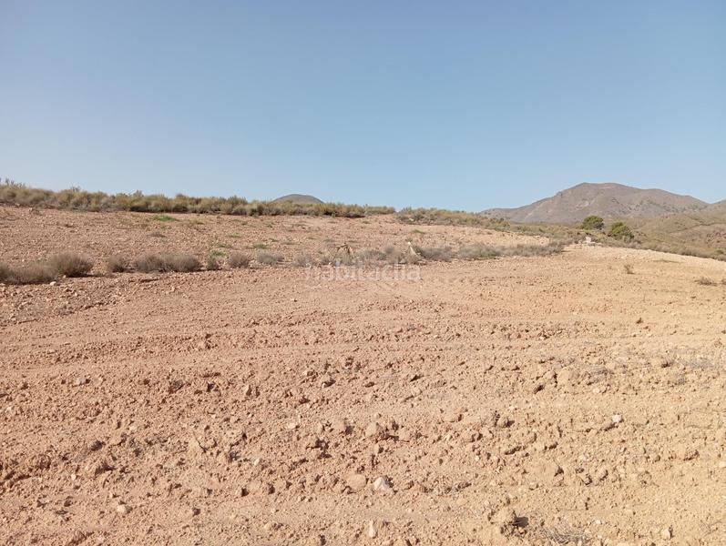 Foto ab202e6e-42bc-46aa-bbfa-b6adfb2699fc. Country house in Cuevas del Almanzora pueblo Cuevas del Almanzora