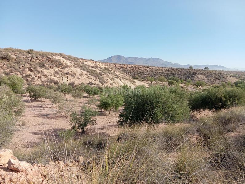 Foto c86549a0-504d-4e45-8a04-d5a314c1f1da. Country house in Cuevas del Almanzora pueblo Cuevas del Almanzora