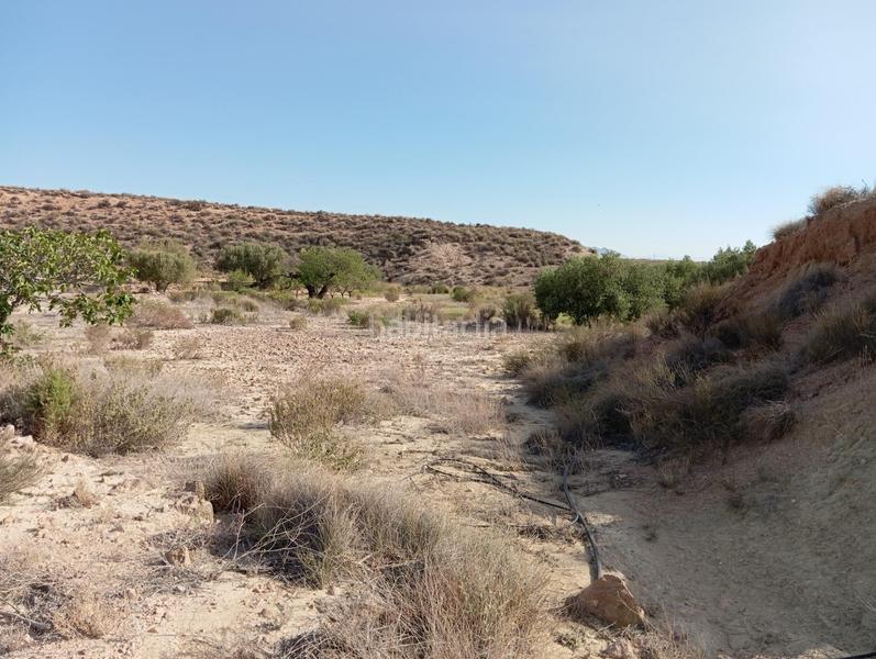 Foto cc0dad1d-4de7-49cb-a763-37df94200bdd. Country house in Cuevas del Almanzora pueblo Cuevas del Almanzora