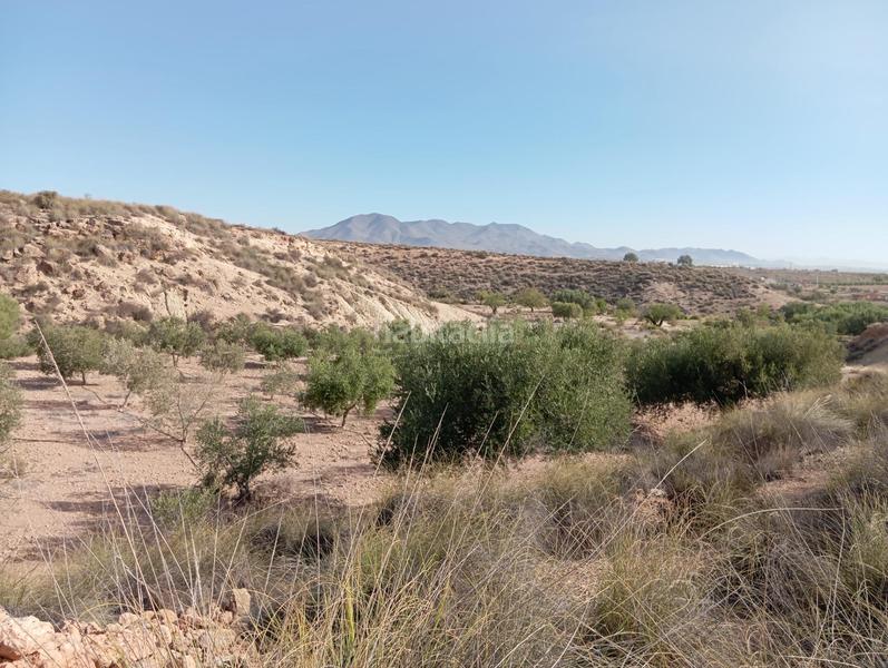 Foto cdfb9f81-b521-4002-8eca-1ef87aed22ad. Country house in Cuevas del Almanzora pueblo Cuevas del Almanzora