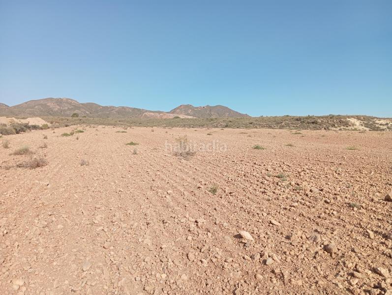 Foto d39b9e68-1ac8-4a4a-85a5-c58f72ea7a75. Country house in Cuevas del Almanzora pueblo Cuevas del Almanzora